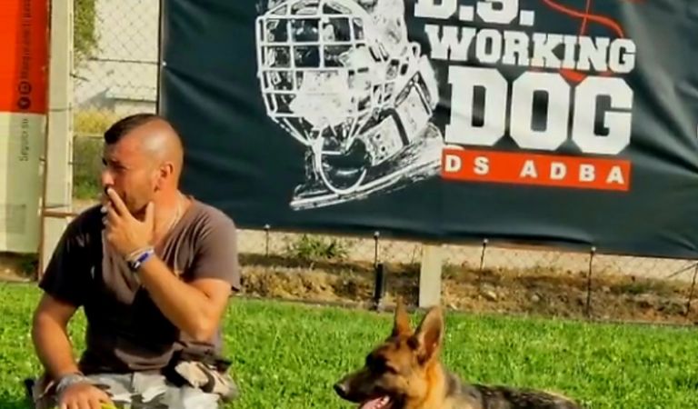 DS Working Dog Pensione e addestramento per cani
