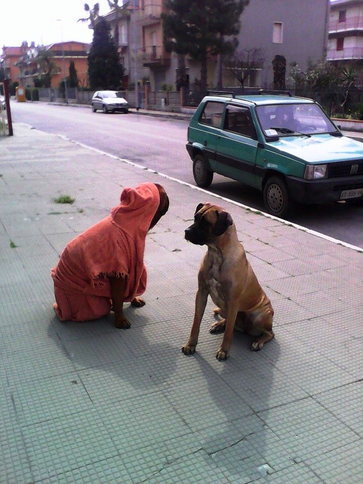 Lindi e Pinti
