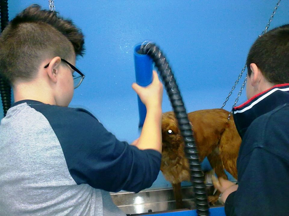 Lindi e Pinti