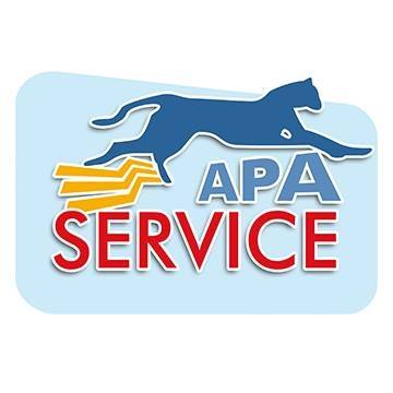 Apa Service - Agenzia Web, Pubblicitaria, Marketing, Social Media, Siti web e SEO
