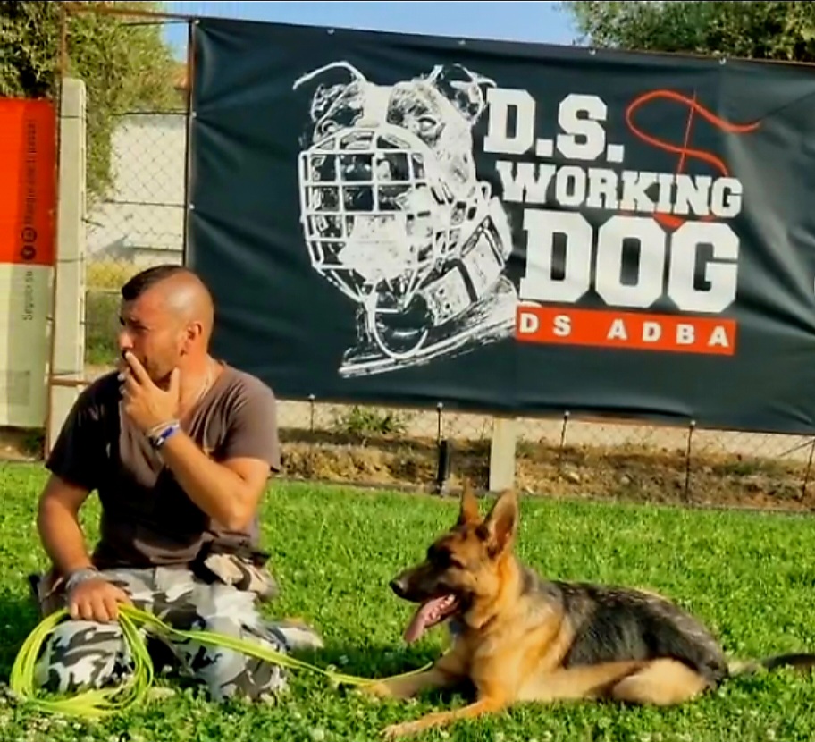 DS Working Dog Pensione e addestramento per cani