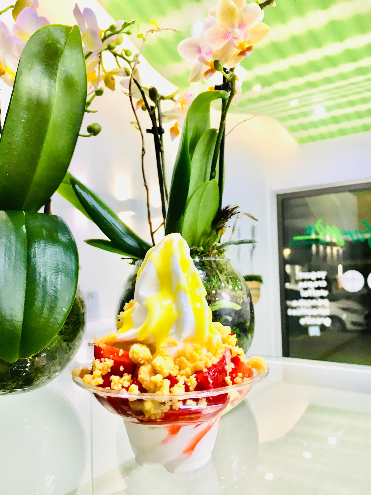 Yogurteria Foryou