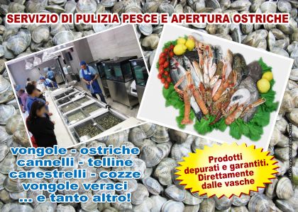 Volantino Cimar