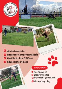 Volantino DS Working Dog Pensione e addestramento per cani