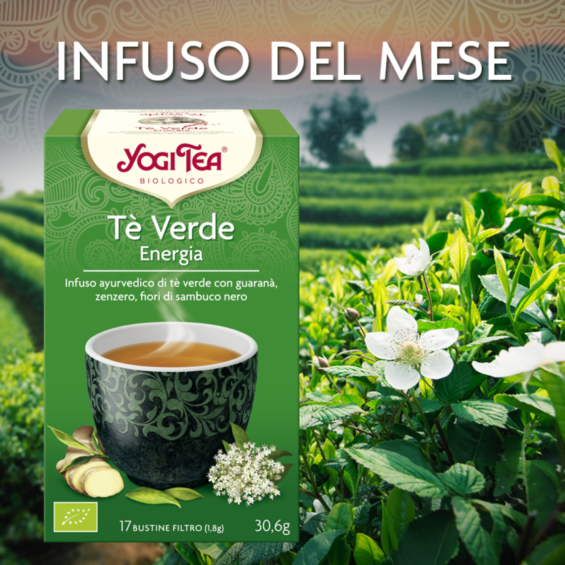 Te' verde da Cristofori caffe'