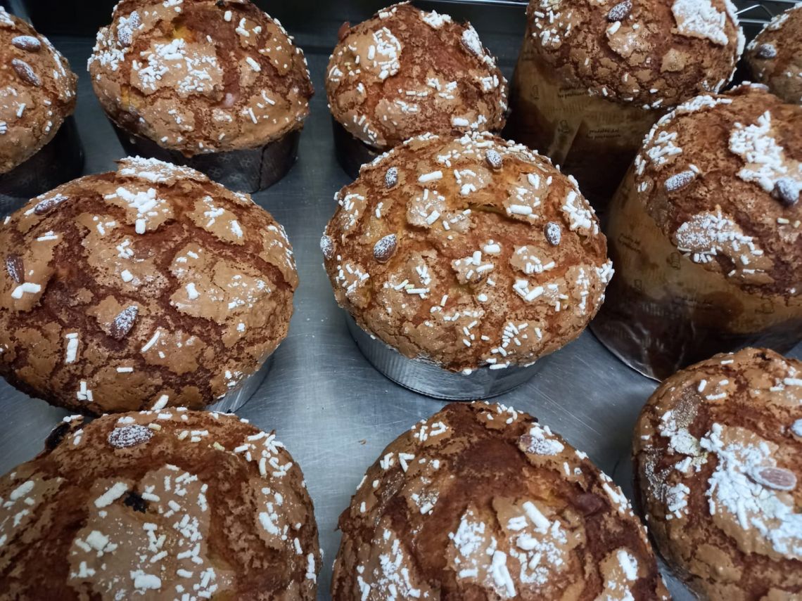 Realizziamo Panettone e Pandoro artigianale