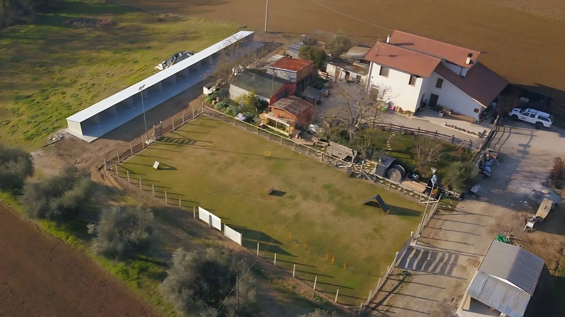 Hotel per cani da da DS Working Dog Val Vibrata
