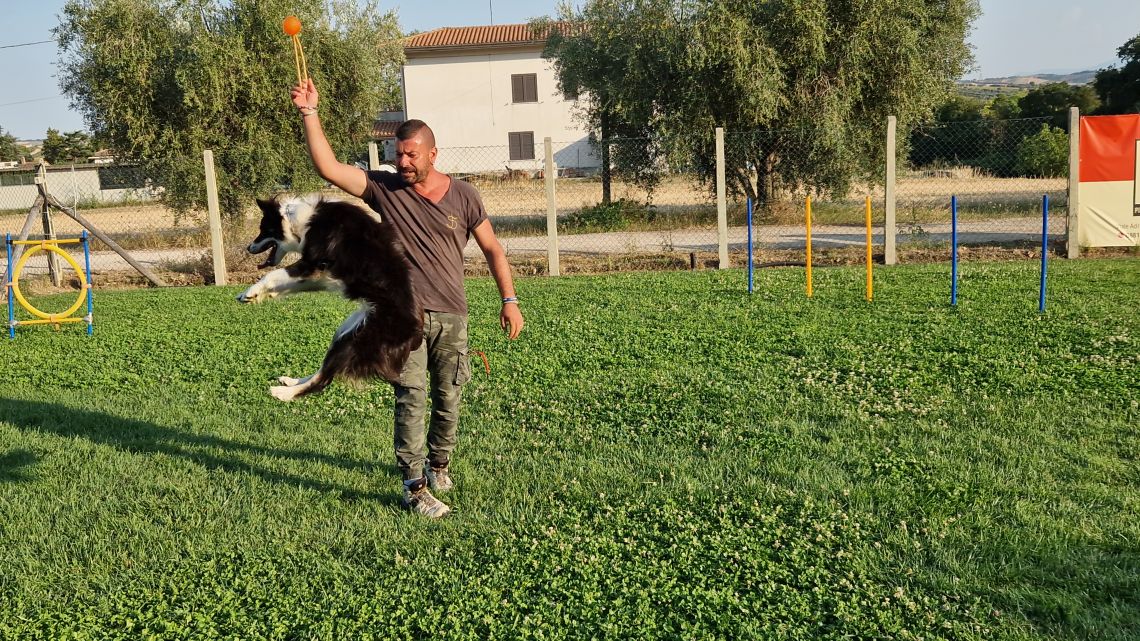Recupero comportamentale da DS Working Dog Val Vibrata